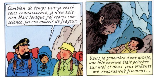 rencontre tintin et tchang